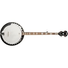 Washburn Americana B10, Banjo