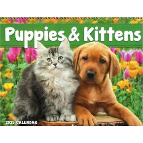 Puppies and Kittens Calendar | 2025 Wall Calendar Puppy and Kitty Wall Calendar, Dog Calendars, Cat Calendars, Dogs Calendars, Cats Calendar Kittens Calendars, Animal Calendars, Funny Wall calendars