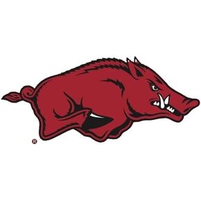 TURNER SPORTS Arkansas Razorbacks 2025 Box Calendar (25998053002)