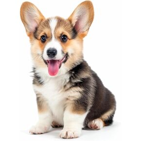 5D Diamond Art Painting by Number Kits Dog Welsh Corgi Pembroke Round Diamond Art Full Drill Beads Embroidery Cross Stitch for Wall Decoration(35x40m)