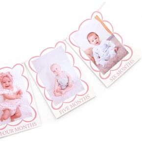 Pink 1 To 12 Months Photo Banner - Girls Sweet One Birthday Decorations,Scallop Shaped Monthly Photo Banner,Newborn First Year Milestone Photo Display,Little Princess 1st Birthday Hanging Banner