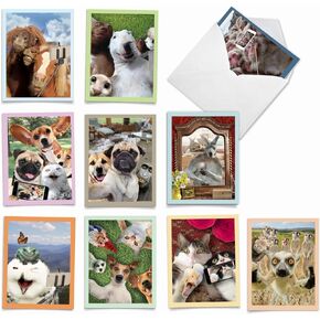 The Best Card Company 10 Blank Notecards w/Envelopes Box Set, 4 x 5.12 Inch, Wildlife Cards for Men Women and Kids - Critter Snow Angels M4187OCB-B1x10-NB in Kuwait
