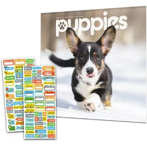 Puppies Calendar 2025 - Deluxe 2025 Puppy Mini Calendar Bundle with Over 100 Calendar Stickers (Dog Lover Gifts, Office Supplies)