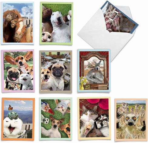 The Best Card Company 10 Blank Notecards w/Envelopes Box Set, 4 x 5.12 Inch, Wildlife Cards for Men Women and Kids - Critter Snow Angels M4187OCB-B1x10-NB in Kuwait