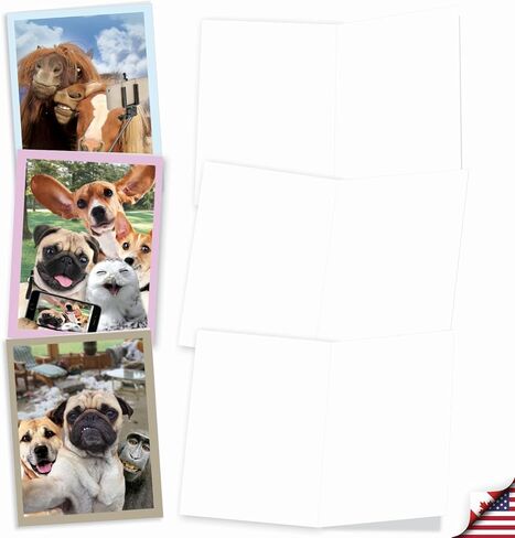 The Best Card Company 10 Blank Notecards w/Envelopes Box Set, 4 x 5.12 Inch, Wildlife Cards for Men Women and Kids - Critter Snow Angels M4187OCB-B1x10-NB in Kuwait