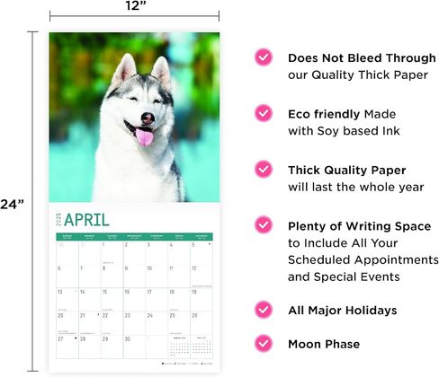 2025 Siberian Huskies Monthly Wall Calendar by Bright Day, 12 x 12 Inch Cute Dog Breed Gift in Saudi Arabia