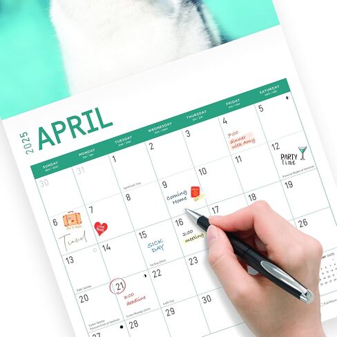 2025 Siberian Huskies Monthly Wall Calendar by Bright Day, 12 x 12 Inch Cute Dog Breed Gift in Saudi Arabia