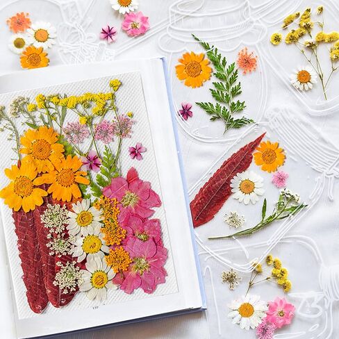 مجموعة 95 قطعة من العلامات المرجعية للزهور المجففة DIY مقاس كبير، علامة مرجعية شفافة للزهور المجففة المضغوطة مع ملقط للقراء الطلاب، لوازم مصنوعة يدويًا (أرجواني) in Kuwait