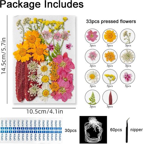 مجموعة 95 قطعة من العلامات المرجعية للزهور المجففة DIY مقاس كبير، علامة مرجعية شفافة للزهور المجففة المضغوطة مع ملقط للقراء الطلاب، لوازم مصنوعة يدويًا (أرجواني) in Kuwait