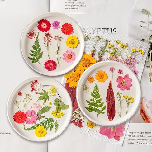 مجموعة 95 قطعة من العلامات المرجعية للزهور المجففة DIY مقاس كبير، علامة مرجعية شفافة للزهور المجففة المضغوطة مع ملقط للقراء الطلاب، لوازم مصنوعة يدويًا (أرجواني) in Kuwait