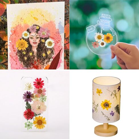 مجموعة 95 قطعة من العلامات المرجعية للزهور المجففة DIY مقاس كبير، علامة مرجعية شفافة للزهور المجففة المضغوطة مع ملقط للقراء الطلاب، لوازم مصنوعة يدويًا (أرجواني) in Kuwait