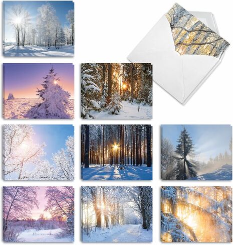 The Best Card Company - 20 Christmas Thank You Cards Boxed (10 Designs, 2 Each) - Assorted Gratitude Cards (4 x 5.12 Inch) - Season's Beachin AM6651XTG-B2x10 in Kuwait