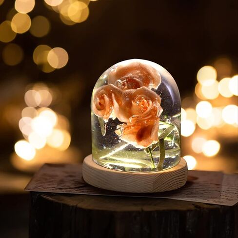 5Pcs Semi Cylinder Resin Mold 3D Crystal Ornament Silicone Molds Cylindrical Epoxy Resin Casting Mould for DIY Candle Night Light Home Desktop Decoration Flower Specimen in Kuwait
