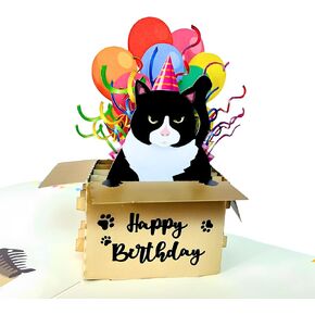Black Cat Birthday Card, Funny Birthday Card for Women, Wife, Mom, Cat Pop Up Card, 3D Pop Up Funny Birthday Cards for Husband, Men, Dad
