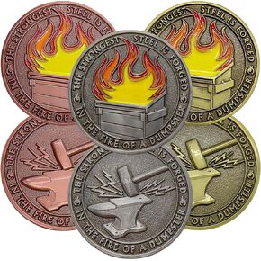 6 Pcs Dumpster Fire Challenge Coin Dumpster Fire Desk Accessories Employee Appreciation Gifts for Coworker, Funny Desk and Office Supplies, White Elephant Gifts, Everything is Fine