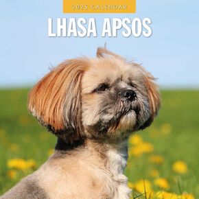 Red Robin 2025 Lhasa Apsos Monthly Wall Calendar | 12" x 24" Open | Premium Thick & Sturdy Paper | Hangable 12 Month Calendar | Plastic Free | 4 Month Transition Page for 2024