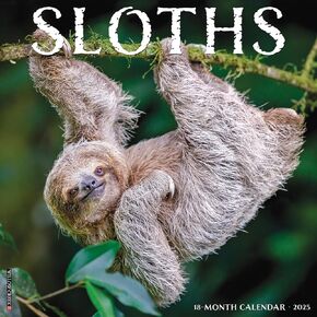 Sloths 2025 12" x 12" Wall Calendar