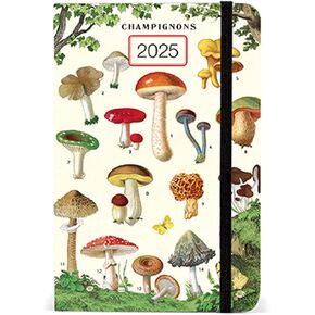 Cavallini & Co. Mushrooms 2025 Pocket Weekly Planner, 4"x6"