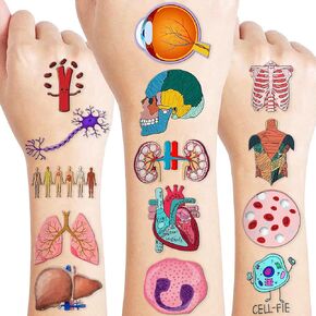 96 PCS Funny Anatomy Human Body Part Tattoos Theme Birthday Party Supplies Decorations Favors Decor Cute Brain Physiology Science Tattoo Stickers Gifts for Games Kids Girls Boys School Prizes Carnival