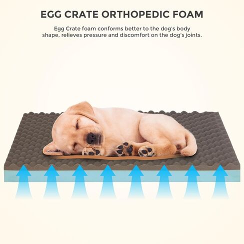 Memory Foam Dog Bed, Egg Crate Orthopedic Medium Large Dog Bed, Waterproof and Machine-Washable Cover, 35x22x3 Inch All-Season Comfort Pet Mat (Coffee) in Saudi Arabia