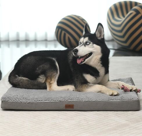 Memory Foam Dog Bed, Egg Crate Orthopedic Medium Large Dog Bed, Waterproof and Machine-Washable Cover, 35x22x3 Inch All-Season Comfort Pet Mat (Coffee) in Saudi Arabia