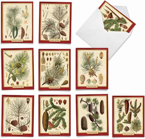 The Best Card Company - Box of 10 Holiday Note Cards - Christmas Cards Assorted, Xmas Trees and Landscapes (4 x 5.12 Inch) - Pining for Christmas M10011XS in Kuwait