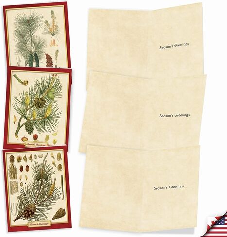 The Best Card Company - Box of 10 Holiday Note Cards - Christmas Cards Assorted, Xmas Trees and Landscapes (4 x 5.12 Inch) - Pining for Christmas M10011XS in Kuwait