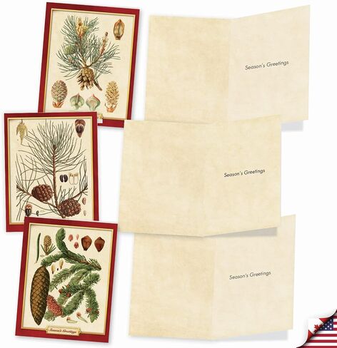 The Best Card Company - Box of 10 Holiday Note Cards - Christmas Cards Assorted, Xmas Trees and Landscapes (4 x 5.12 Inch) - Pining for Christmas M10011XS in Kuwait