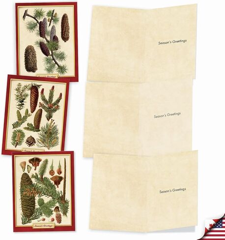 The Best Card Company - Box of 10 Holiday Note Cards - Christmas Cards Assorted, Xmas Trees and Landscapes (4 x 5.12 Inch) - Pining for Christmas M10011XS in Kuwait