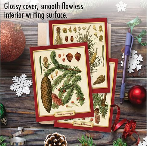 The Best Card Company - Box of 10 Holiday Note Cards - Christmas Cards Assorted, Xmas Trees and Landscapes (4 x 5.12 Inch) - Pining for Christmas M10011XS in Kuwait