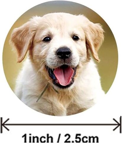 500Pcs Round Cute Dog for Kids Teacher Reward Stickers School Supplies, Animal Incentive Roll Sticker Potty Training Stickers for School Classroom Home（S107 Series） in Kuwait