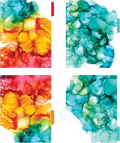 Avery Planner Dividers for Happy Planner 9-disc Classic Size Planners, 4-Tab Set, Amy Tangerine Watercolor Design, 1 Set (25497) in Saudi Arabia