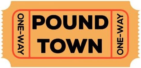 رقعة التذاكر Pound T، رقعة مطرزة كاملة للملابس، بقع مطرزة بالكي على الزينة، رقعة مطرزة مضحكة شارة راكب الدراجة النارية مزينة بالحديد على الخياطة... in Saudi Arabia