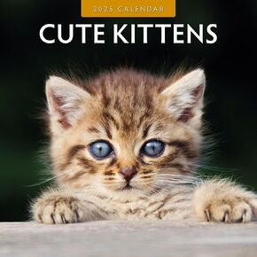 Red Robin 2025 Cute Kittens Monthly Wall Calendar | 12" x 24" Open | Premium Thick & Sturdy Paper | Hangable 12 Month Calendar | Plastic Free | 4 Month Transition Page for 2024 in Saudi Arabia