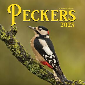 2025 Big Cocks Rooster Monthly Wall Calendar Fun Funny Photo Joke Gift Roosters Photos Large Dirty Prank White Elephant Yankee Swap Secret Santa Gifts (2025 Roosters)