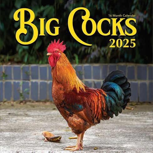 2026 Rooster Big Cocks Birds Monthly Wall Calendar Fun Funny Bird Watching Birders Joke Gift Dirty Prank Elephant Secret Santa Gifts (2026 Big Cocks) in Saudi Arabia
