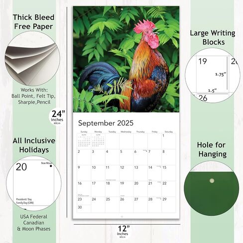 2026 Rooster Big Cocks Birds Monthly Wall Calendar Fun Funny Bird Watching Birders Joke Gift Dirty Prank Elephant Secret Santa Gifts (2026 Big Cocks) in Saudi Arabia