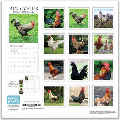 2026 Rooster Big Cocks Birds Monthly Wall Calendar Fun Funny Bird Watching Birders Joke Gift Dirty Prank Elephant Secret Santa Gifts (2026 Big Cocks) in Saudi Arabia