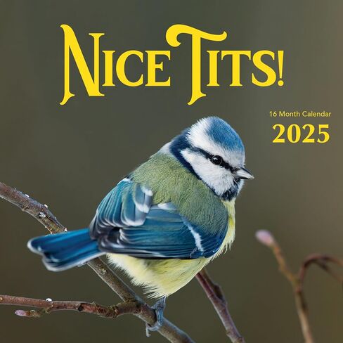 2026 Rooster Big Cocks Birds Monthly Wall Calendar Fun Funny Bird Watching Birders Joke Gift Dirty Prank Elephant Secret Santa Gifts (2026 Big Cocks) in Saudi Arabia