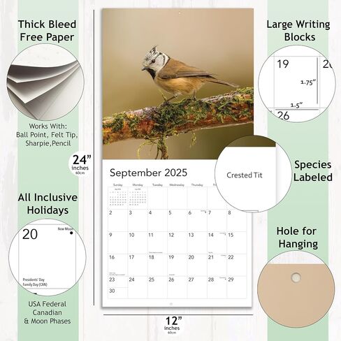 2026 Rooster Big Cocks Birds Monthly Wall Calendar Fun Funny Bird Watching Birders Joke Gift Dirty Prank Elephant Secret Santa Gifts (2026 Big Cocks) in Saudi Arabia
