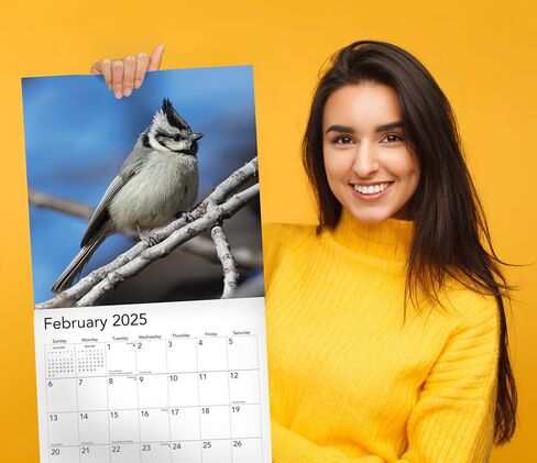2026 Rooster Big Cocks Birds Monthly Wall Calendar Fun Funny Bird Watching Birders Joke Gift Dirty Prank Elephant Secret Santa Gifts (2026 Big Cocks) in Saudi Arabia