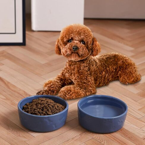 Cute Dog Bowls for Food and Water, Ceramic Dog Bowl Set of 2 for Small Size Dogs, 5 Inch Wide Pet Dishes for Puppy, Blue in Saudi Arabia