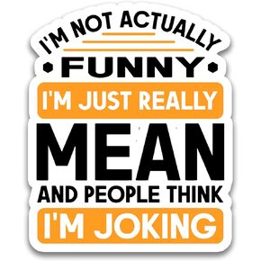 (3pcs) I'm Not Actually Funny Sticker, Adult Humor Stickers, Mental Health Stickers, Water Assistant Die-Cut Funny Humor Sticker for Laptop Phone Water Bottles, Kindle Stickers (Size 3")