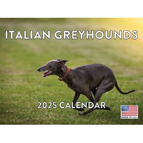 Boxer Calendar 2025 Boxer Dog Gifts Monthly Wall Calender 12 Month | American Made In The USA