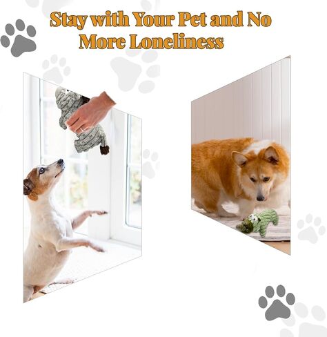 Dog Squeaky Plush Toys Puppy Toys, Assortment Value Bundle Animal Pet Toy for Small Medium Dogs, Stuffed Puppy Chew Toy, Cute Dog Gift Toys (C) in Saudi Arabia