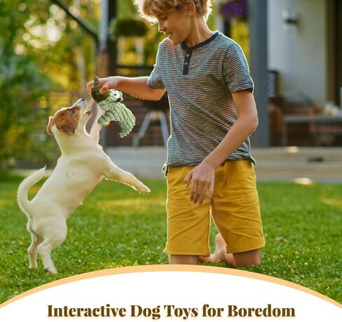 Dog Squeaky Plush Toys Puppy Toys, Assortment Value Bundle Animal Pet Toy for Small Medium Dogs, Stuffed Puppy Chew Toy, Cute Dog Gift Toys (C) in Saudi Arabia
