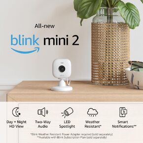 Blink Mini 2 (Newest Model) — Home Security & Pet Camera(s) with HD video, color night view, motion detection, two-way audio, and built-in spotlight — 1 camera (Black)