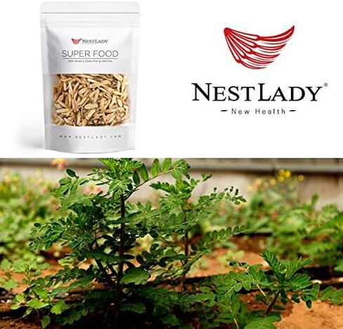 NESTLADY جذر استراغالوس مقطع إلى شرائح 70 جم - مجفف/ طبيعي 100%/ معبأ في الولايات المتحدة الأمريكية in Saudi Arabia