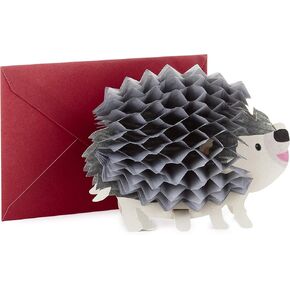 Hallmark Pop Up Birthday Greeting Card (Honeycomb Hedgehog) (599RZQ1002)