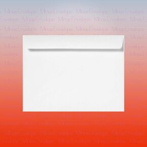 100 Minas Envelope 9" x 12" Booklet Envelope Made in the USA of Durbile Heavyweight 28lb. White Paper (100)